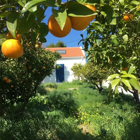 Casa das Laranjas - 30min de Lisboa